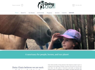 Daisy Chain Sanctuary