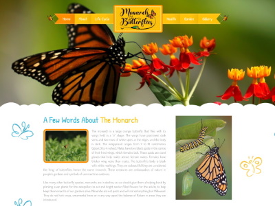 Monarch Butterflies